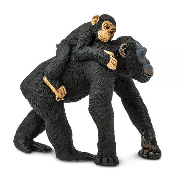 שימפנזה עם גור