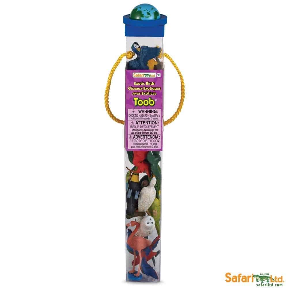 ציפורים אקזוטיות ציפורים אקזוטיות