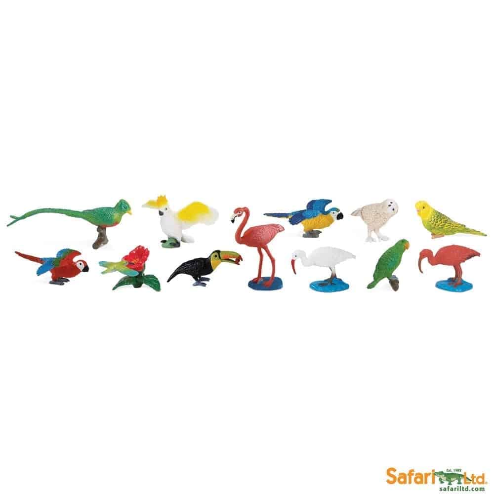 ציפורים אקזוטיות ציפורים אקזוטיות