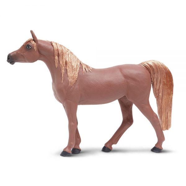 סוסה ערבית