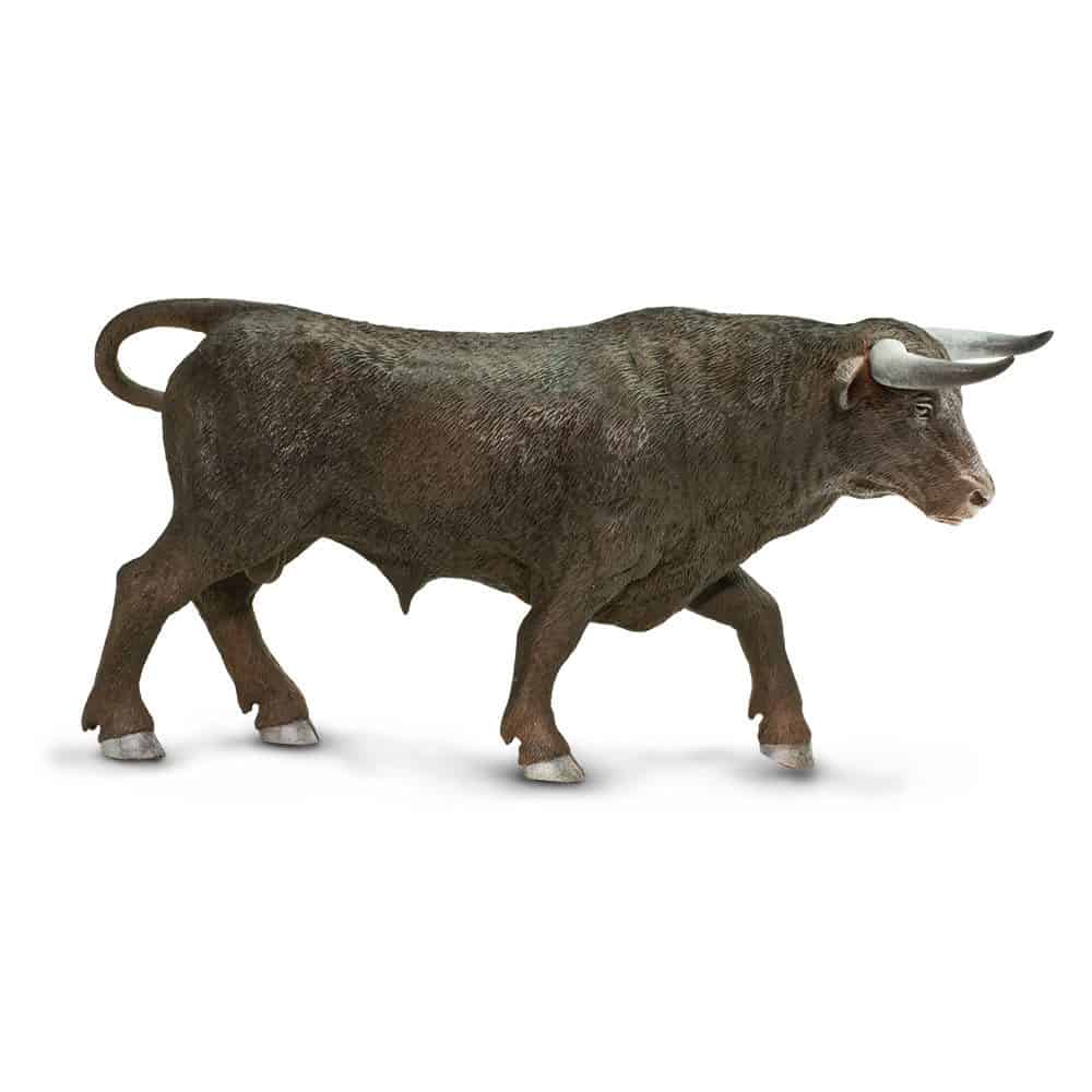 שור שחור שור שחור