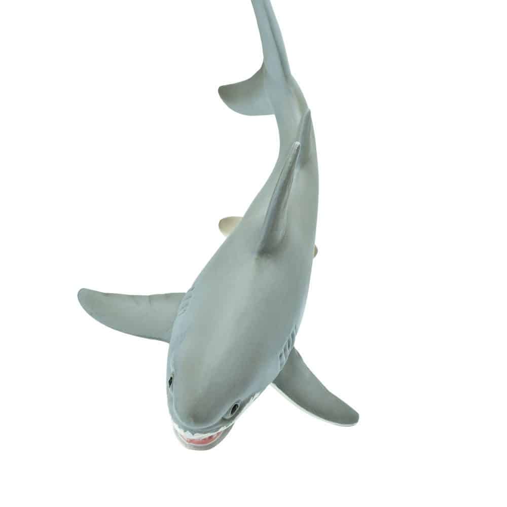 עמלץ לבן (חדש) עמלץ לבן (חדש)