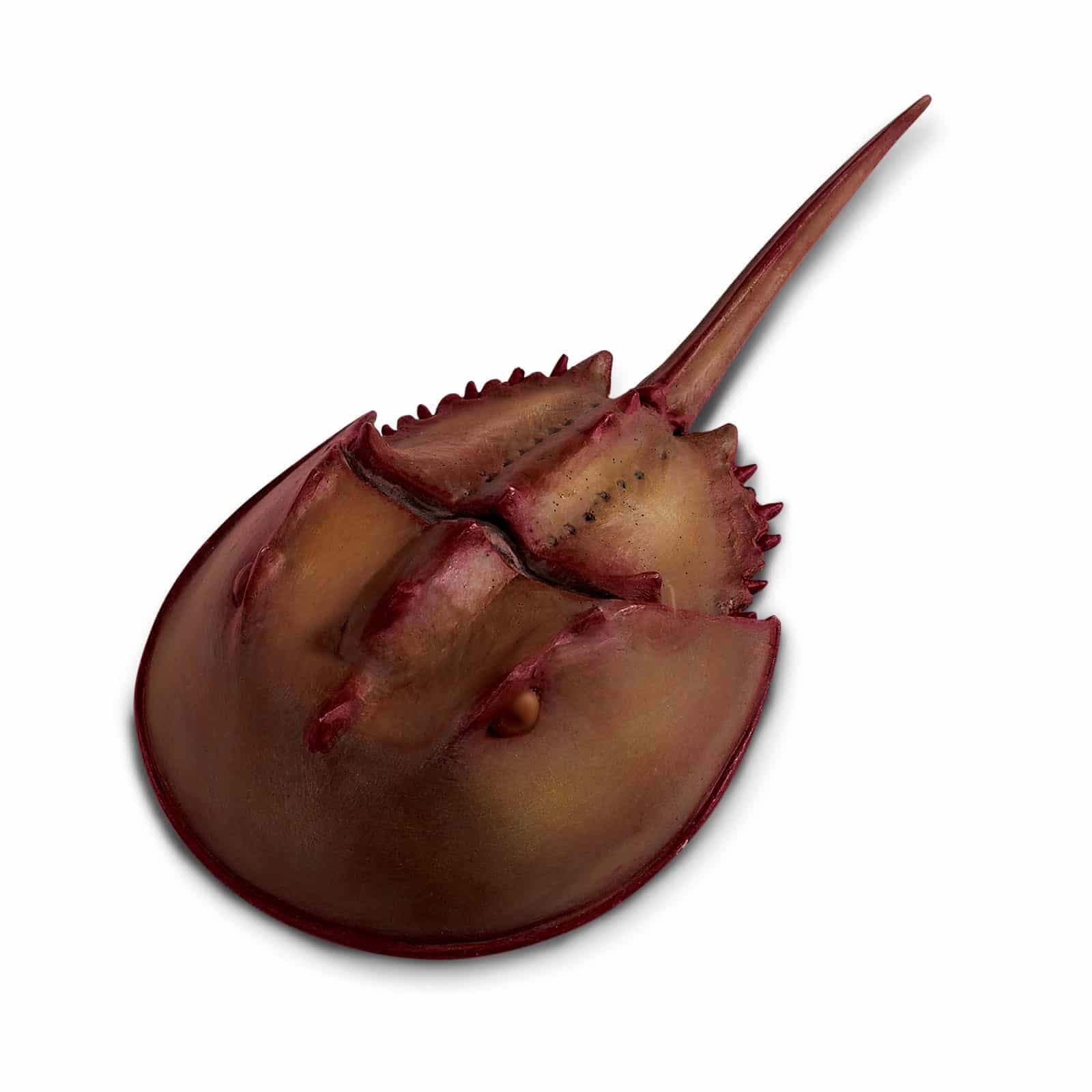 261429_1