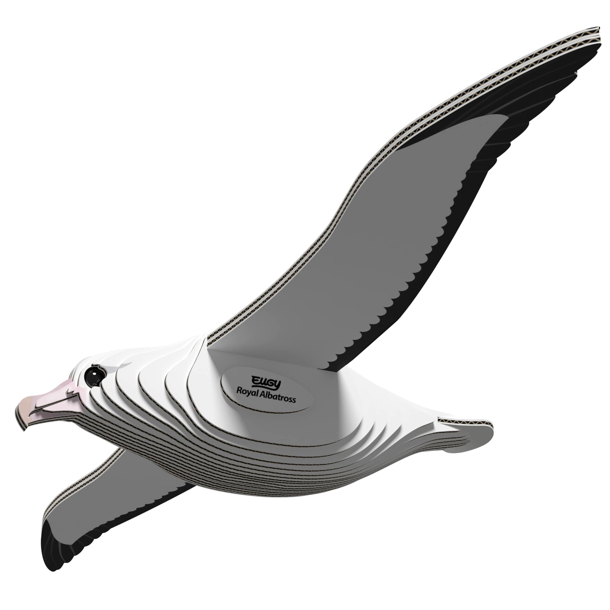 097_Royal_Albatross_rendering_0001