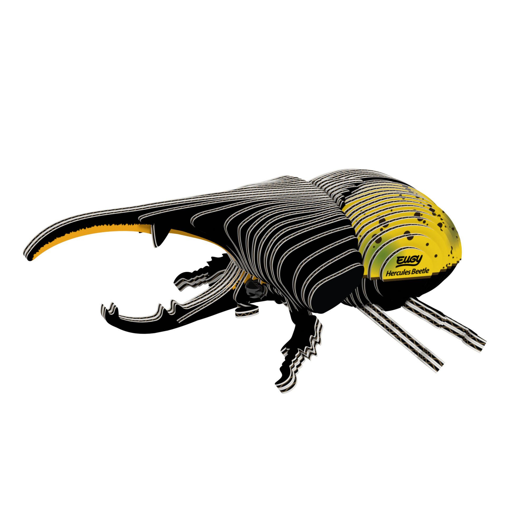 112-Hercules_Beetle_white